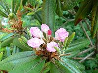 13-06-2006_20-54-40_104