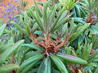 13-06-2006_20-54-52_106