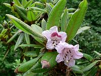 14-06-2006_15-01-33_01