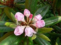 15-06-2006_18-13-04_40