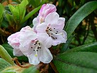 18-06-2006_10-32-56_89