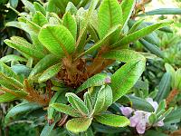 18-06-2006_10-33-43_100