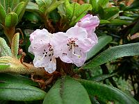 19-06-2006_09-04-44_76