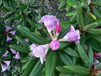 2009-05-31_18-54-24_0085