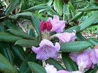 2009-05-31_18-54-43_0088