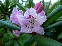 2009-05-31_18-55-43_0097