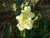 06-04-2007_09-00-26_53