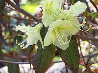 20-04-05kodak_123