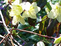 20-04-05kodak_126