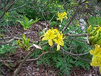 16-05-05kodak_097