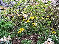 16-05-05kodak_098