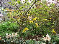 16-05-05kodak_099
