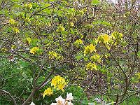 16-05-05kodak_101