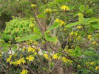 16-05-05kodak_106