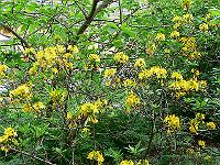 18-05-2007_17-04-40_62