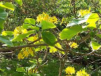 22-05-05kodak_157