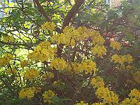 24-05-05kodak_155