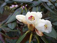 18-04-05kodak_150