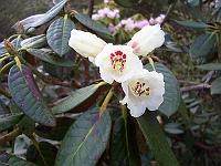 19-04-05kodak_016