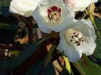 19-04-05kodak_042