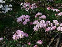 12-05-2006_09-32-29_205