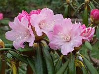 30-04-05kodak_034