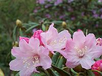 30-04-05kodak_035