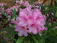 11-05-05kodak_089