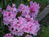 12-05-05kodak_176