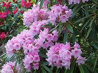 12-05-05kodak_181