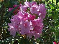 12-05-05kodak_186