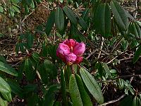 2011-04-01_08-33-06_0013