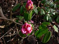 2011-04-01_08-33-32_0019