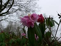 2011-04-03_08-37-46_0018