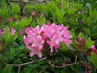12-06-05kodak_163