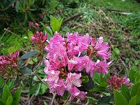 12-06-05kodak_168