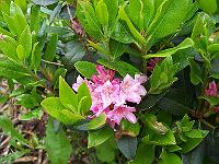 12-06-05kodak_169
