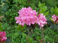 12-06-05kodak_170
