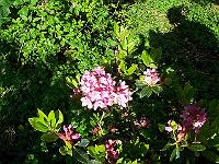 12-06-05kodak_263