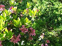 12-06-05kodak_265