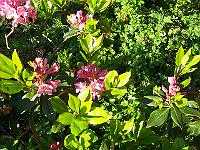 12-06-05kodak_267