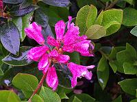 13-06-05kodak_019