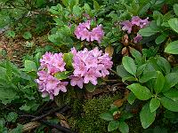 15-06-2006_18-11-55_25