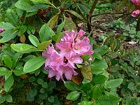 15-06-2006_18-11-59_26