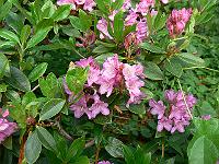 15-06-2006_18-12-18_30