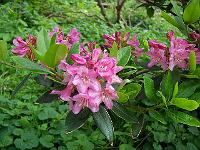 16-06-0kodak_082
