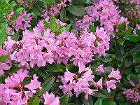 19-06-2006_09-02-10_42