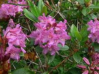2011-06-08_09-39-24_0176
