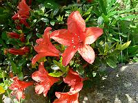 01-07-2006_11-35-48_08