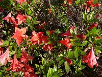 2011-06-14_17-59-22_0092